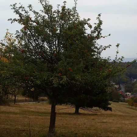 Taunus Idylle Bei Idstein